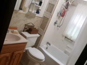 leelanau_narrows_bathroom